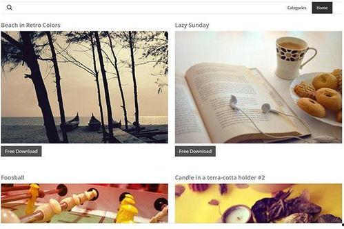 国产最新资源视频在线